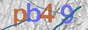 Immagine CAPTCHA